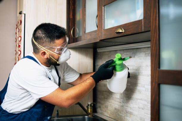Pest Prevention Services in Asbury Lake, FL