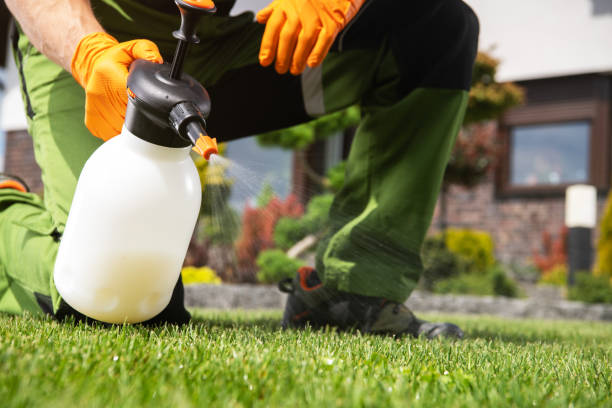 Best Ant Control Services  in Asbury Lake, FL