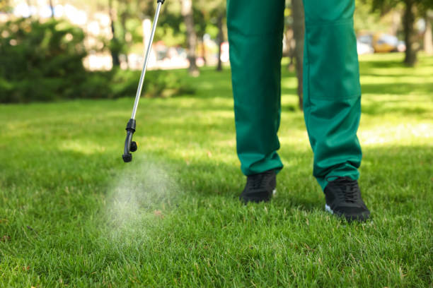 Best Affordable Pest Control Services  in Asbury Lake, FL