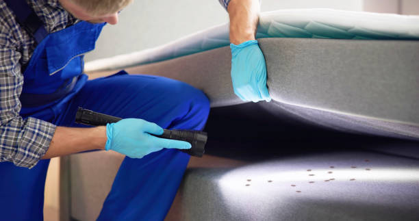 Best Flea Control Services  in Asbury Lake, FL