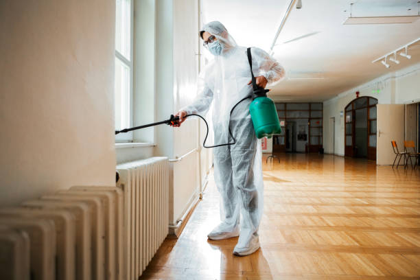 Flea Control Services in Asbury Lake, FL